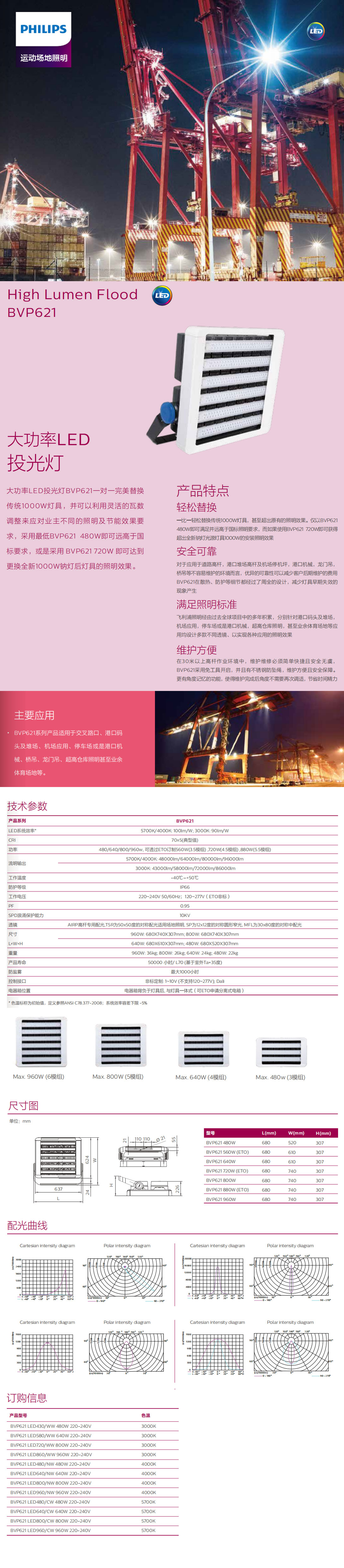 大功率LED投光燈BVP621.jpg